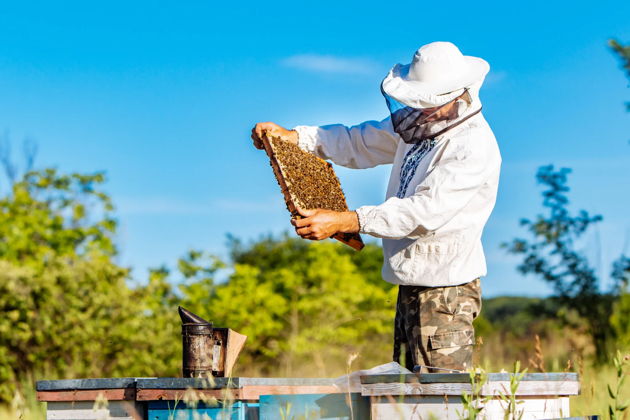 Nachhaltigkeit Bienen 1 scaled