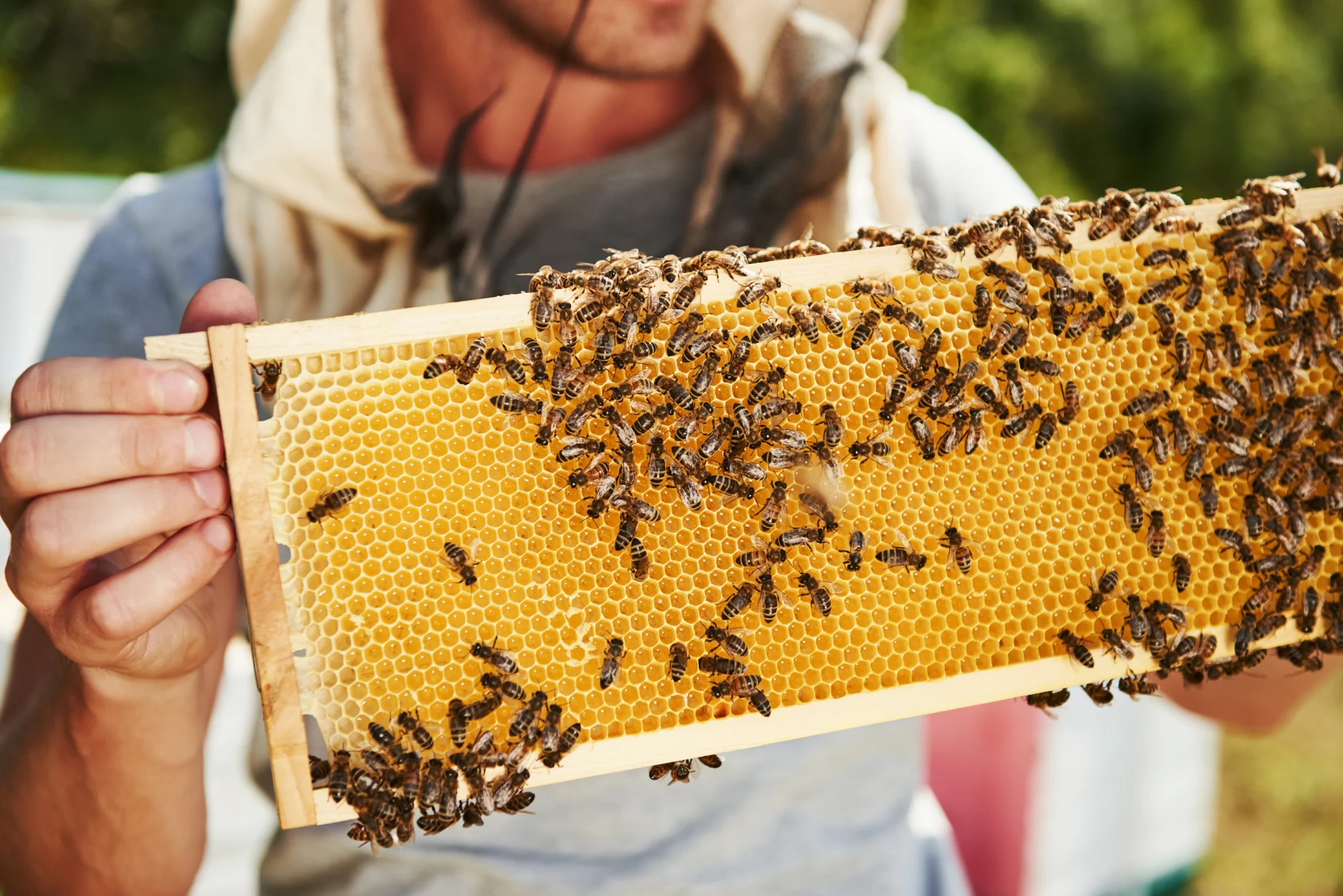 Nachhaltigkeit Bienen 2 scaled
