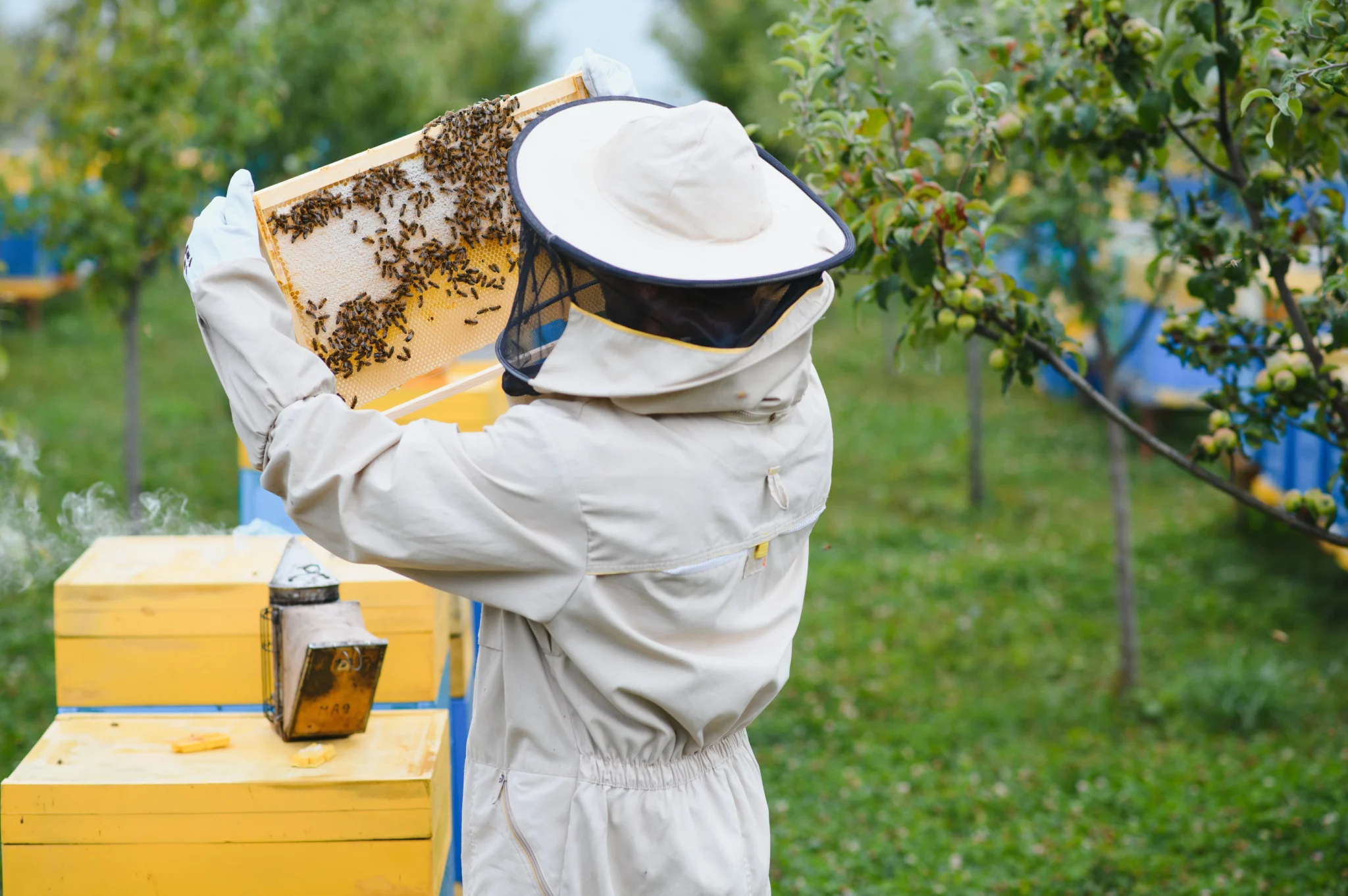 Nachhaltigkeit Bienen 4 scaled